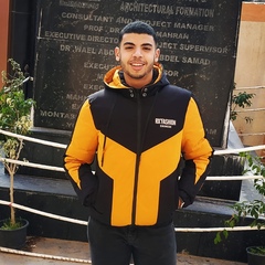 Hussein Salamntsh, 24 года, Alexandria