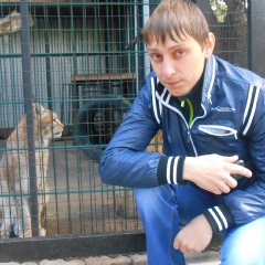 Алексей Котов, 37 лет, Нижний Новгород