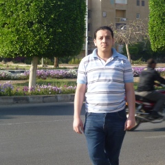 محمد عزت, Cairo