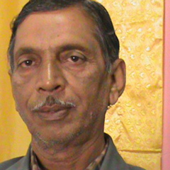 Shyam Sisodia, 64 года, Raisinghnagar