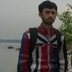 Mian-Asif Ali, 29 лет, Gujranwala