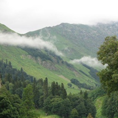 Татьяна Бушалова, Троицк