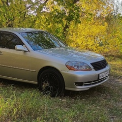 Станислав Балабанов, 37 лет, Омск