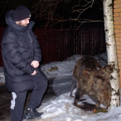 Илья Львов, Москва