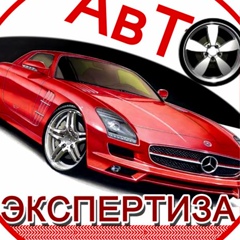 Независимый Авто-Эксперт, 23 года, Новокузнецк