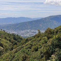 Carlos-Alberto Chavez-Lozano, 24 года, Ibagué