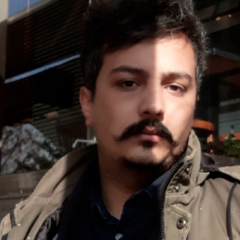 Navid Nami, 33 года, Tehran