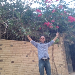 Hany Eldeeb, Cairo