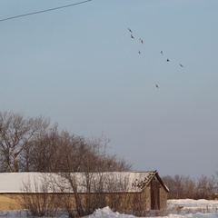 Александр Иванов, Челябинск