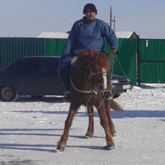 Сергек Тюлюш, 35 лет