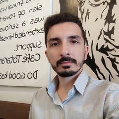 Pouya Pournasir, 31 год, Chennai