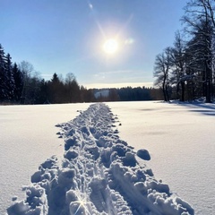 Лейда Пейпс, Санкт-Петербург