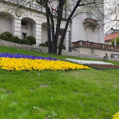 Марго Калева, 25 лет