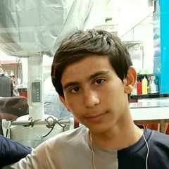 Hossein Alijani, 22 года, Zanjan