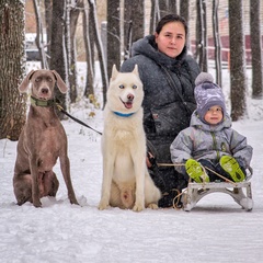 Людмила Красильникова, 31 год, Чебоксары