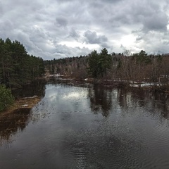 Николай Матвеев, Санкт-Петербург