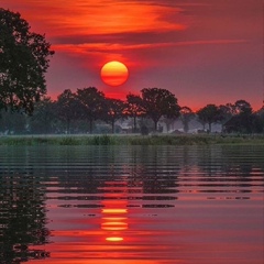 Наталья Крысанова, Электросталь