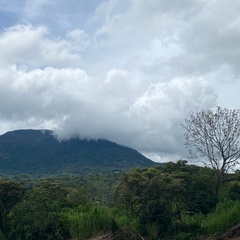 Mary Murillo, 42 года, Medellín