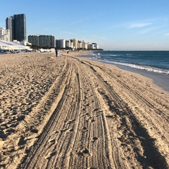 Валери Ла, 32 года, Miami Beach