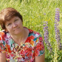 Татьяна Юркова, 58 лет, Чайковский