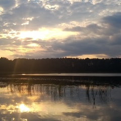 Александр Сапицкий, Санкт-Петербург