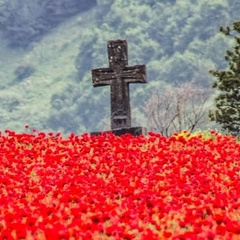 Tigran Ghukasyan, Ереван