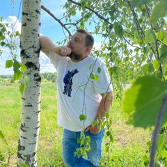 Владимир Рыжов, 40 лет, Москва