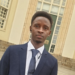 Muhammad Sani, 28 лет, Adamawa