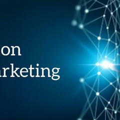 Winson Digital-Marketing, 31 год