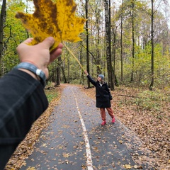 Светлана Метелкина, 36 лет, Москва