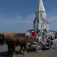 Татьяна Подлесная, Москва