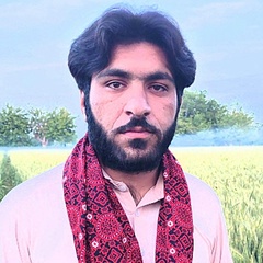 Waqar Shah, 23 года, Peshawar