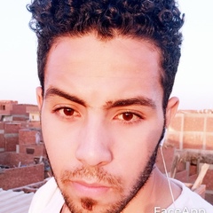 Ahmed Elgendy, 31 год, Cairo