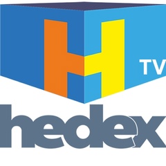 Hedextv Hedextv, Bologna