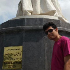 Amirhossein Ganji, 29 лет, Hamadan