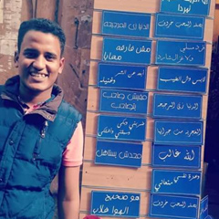 Abdo Ahmed, 26 лет, Aswan