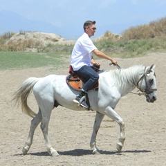 Алексей Чеканников, 29 лет, Новосибирск