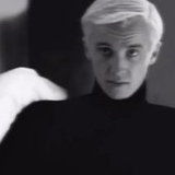 Malfoy Draco, 23 года