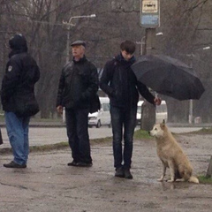 Антон Александрович