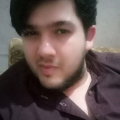 Umar Tariq, 27 лет, Lahore