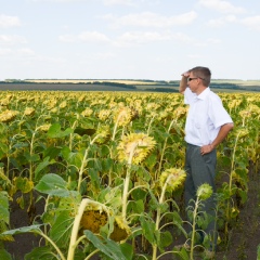 Владимир Ткаченко, Киев