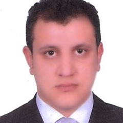 Mohamed Salman, 47 лет, Giza