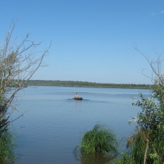 Сергей Запорожец, 42 года, Новосибирск