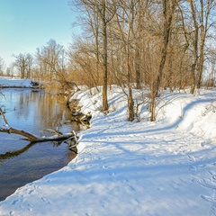 Алексей Секретарев, Воткинск