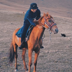 Rustem Dikhambayev, Алматы