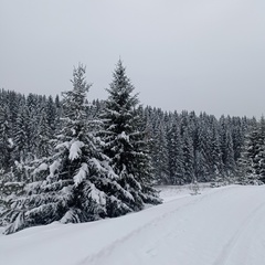 Эльвира Камалова-Галеева, Уфа