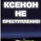 Роман Мамаенко, 38 лет, Санкт-Петербург