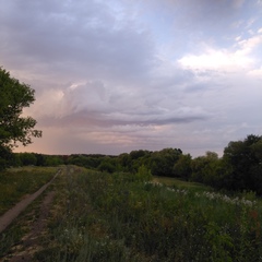 Александр Елисеев, 51 год, Курск