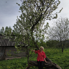 Людмила Журавлева, 72 года, Санкт-Петербург