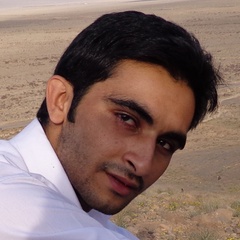 Majid Dehghan, 33 года, Yazd